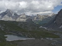 CH, Wallis, Leukerbad, Lammerensee 3, Saxifraga-Willem van Kruijsbergen